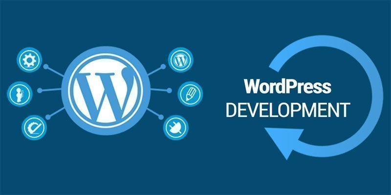 Best WordPress Development and Design in Egypt 1 CodeShip Best WordPress Development and Design in Egypt 1 CodeShip